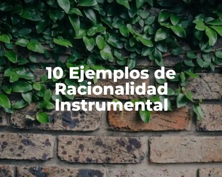 10 Ejemplos de Racionalidad Instrumental