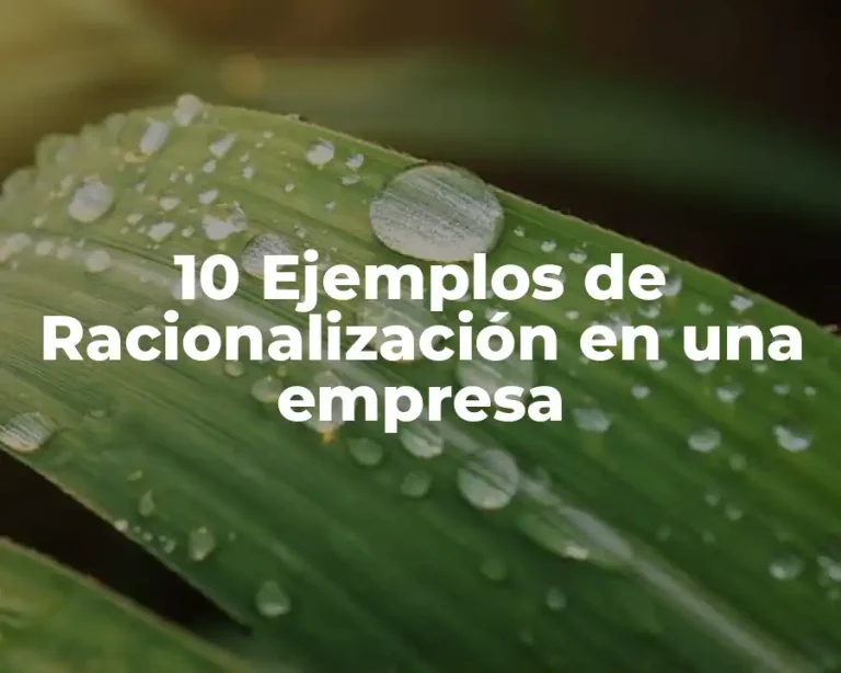 10 Ejemplos de Racionalización en una empresa