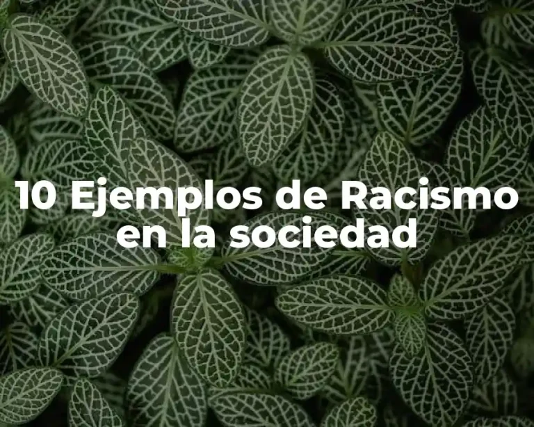 10 Ejemplos de Racismo en la sociedad