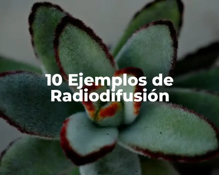 10 Ejemplos de Radiodifusión