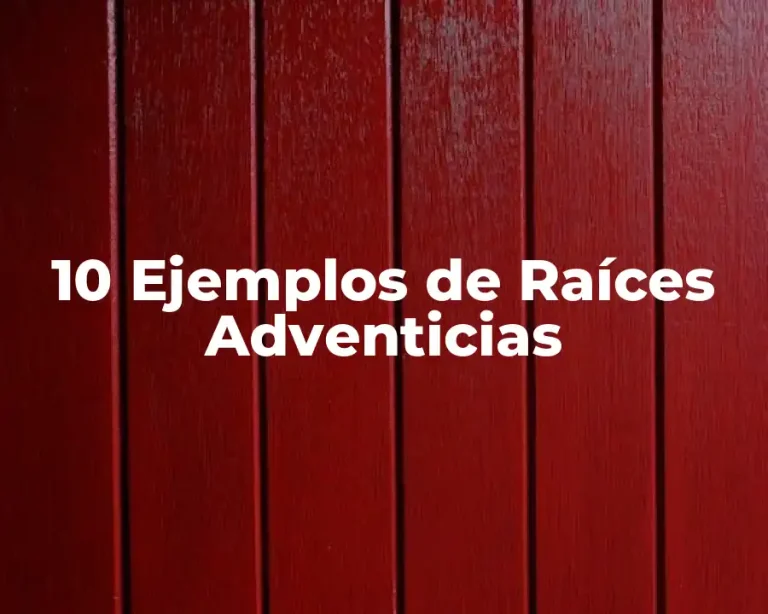 10 Ejemplos de Raíces Adventicias