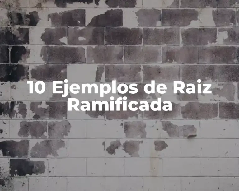 10 Ejemplos de Raiz Ramificada