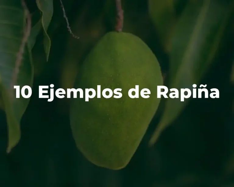 10 Ejemplos de Rapiña