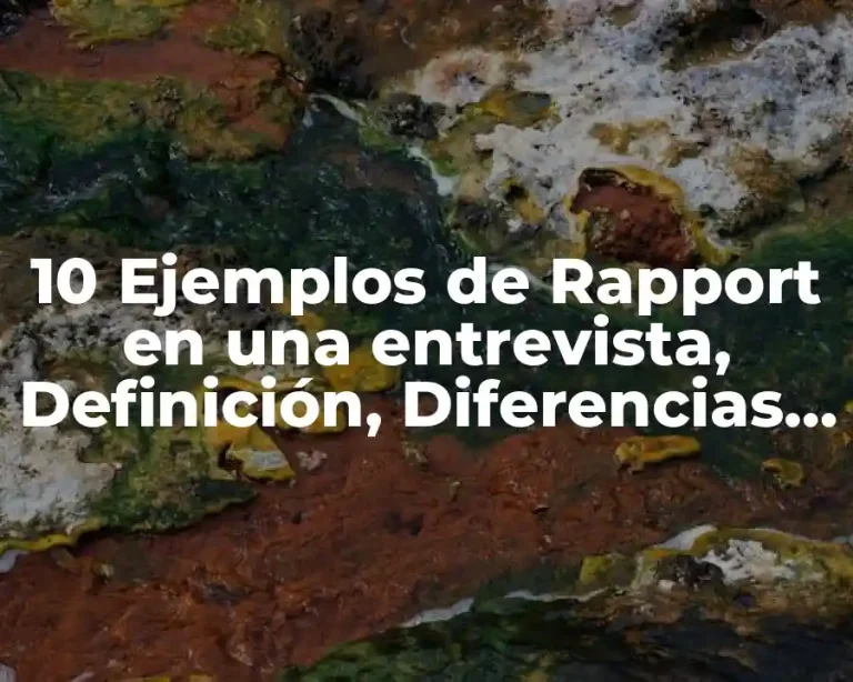 10 Ejemplos de Rapport en una entrevista, Definición, Diferencias y para que sirve