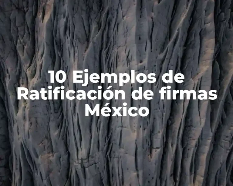 10 Ejemplos de Ratificación de firmas México