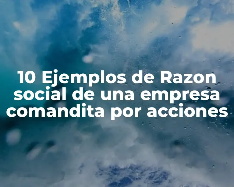 10 Ejemplos de Razon social de una empresa comandita por acciones