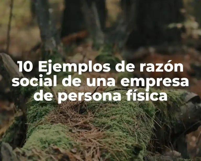 10 Ejemplos de razón social de una empresa de persona física