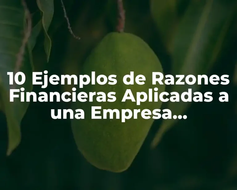 10 Ejemplos de Razones Financieras Aplicadas a una Empresa, Definición, Diferencias y para que sirve