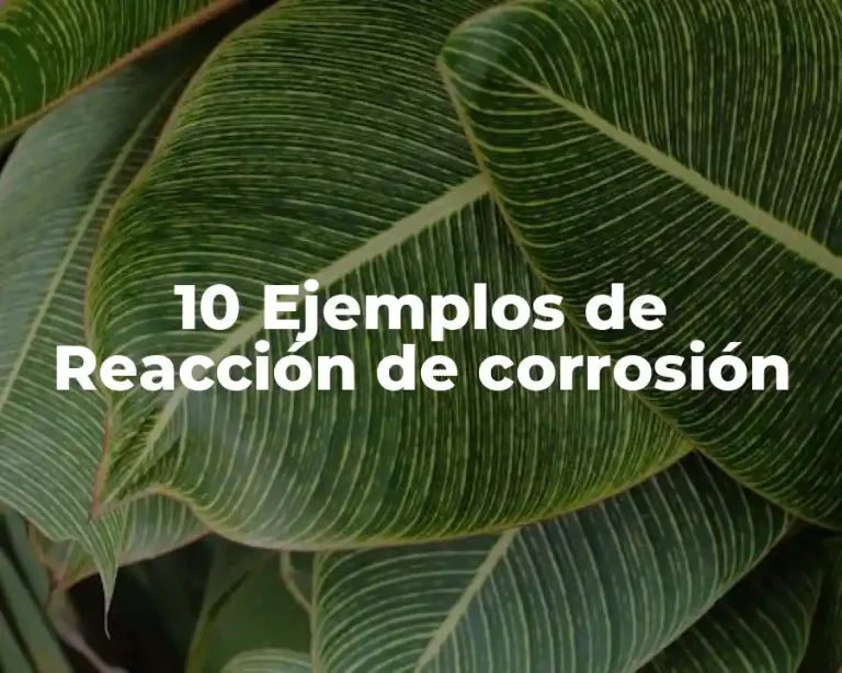 10 Ejemplos de Reacción de corrosión