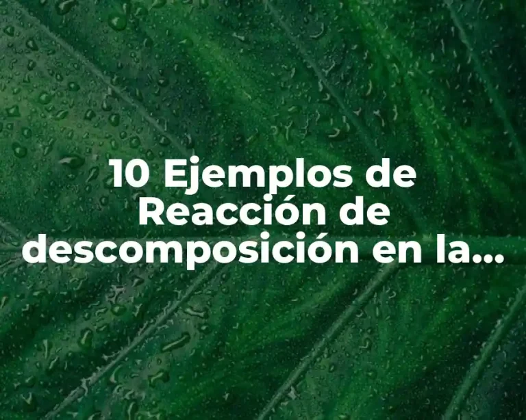 10 Ejemplos de Reacción de descomposición en la ingeniería en sistemas