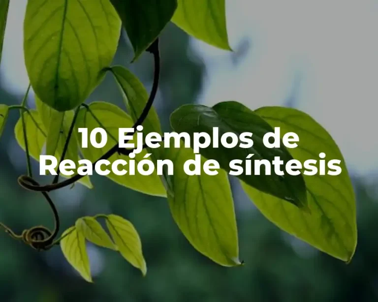 10 Ejemplos de Reacción de síntesis