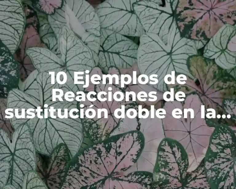 10 Ejemplos de Reacciones de sustitución doble en la vida cotidiana