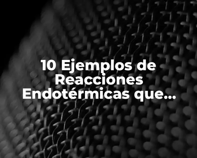 10 Ejemplos de Reacciones Endotérmicas que Ocurren en los Seres Vivos
