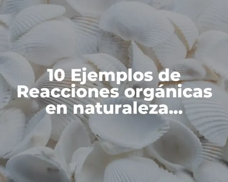 10 Ejemplos de Reacciones orgánicas en naturaleza cotidianidad en la industria