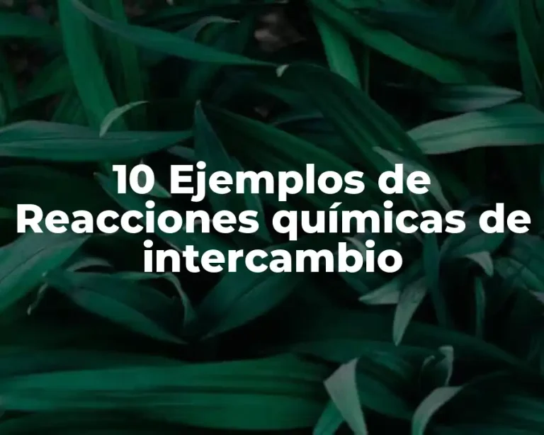 10 Ejemplos de Reacciones químicas de intercambio