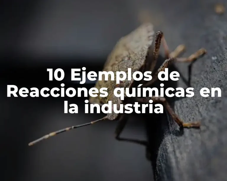 10 Ejemplos de Reacciones químicas en la industria