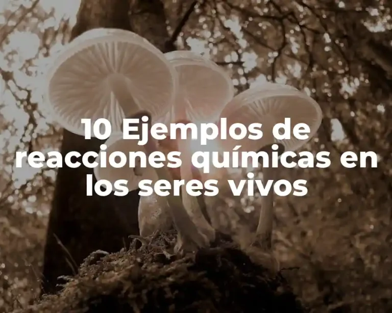 10 Ejemplos de reacciones químicas en los seres vivos
