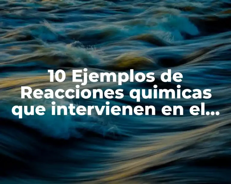 10 Ejemplos de Reacciones quimicas que intervienen en el calentamiento global