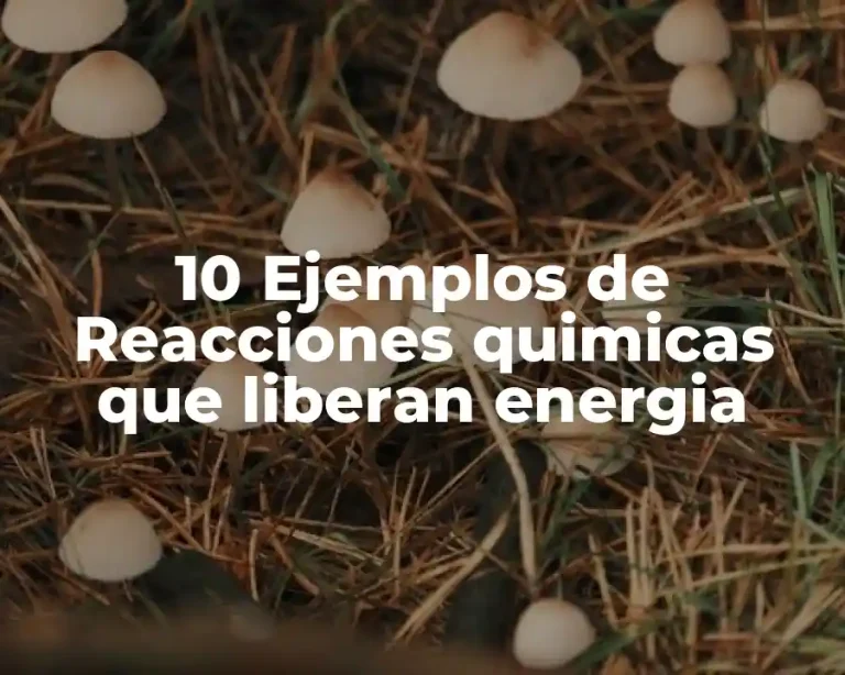 10 Ejemplos de Reacciones quimicas que liberan energia