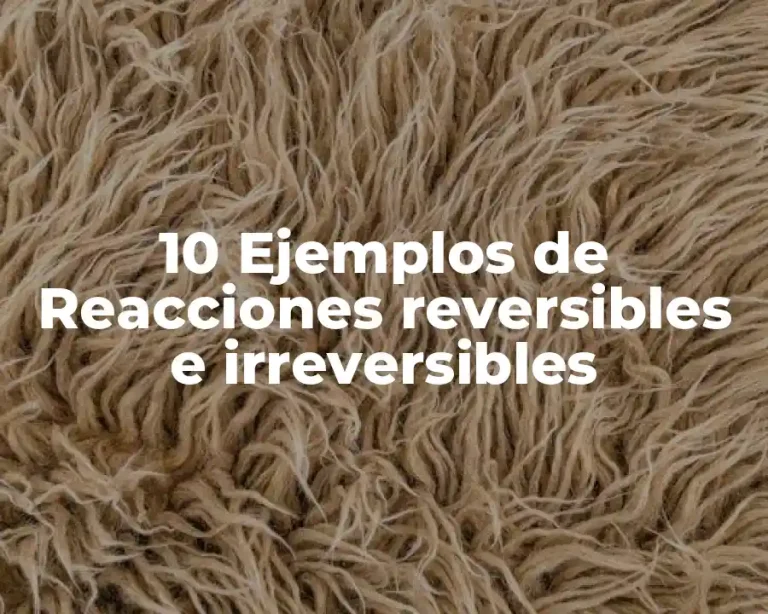 10 Ejemplos de Reacciones reversibles e irreversibles