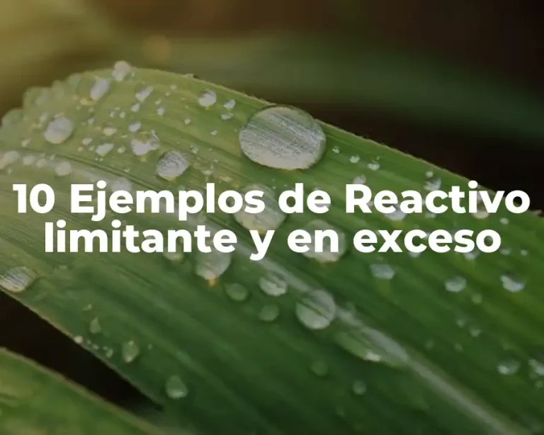 10 Ejemplos de Reactivo limitante y en exceso