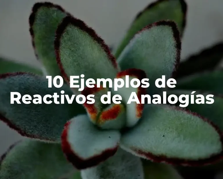 10 Ejemplos de Reactivos de Analogías
