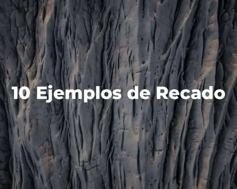 10 Ejemplos de Recado