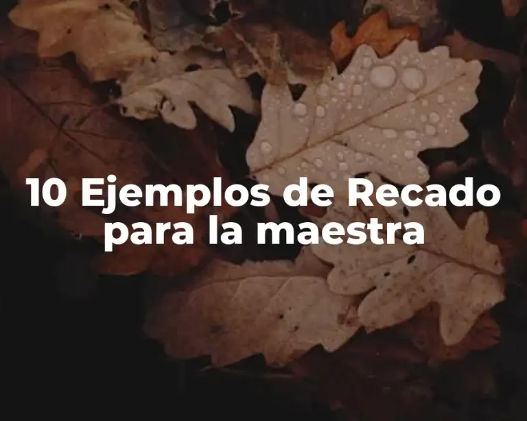 10 Ejemplos de Recado para la maestra