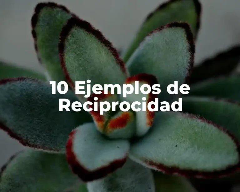 10 Ejemplos de Reciprocidad