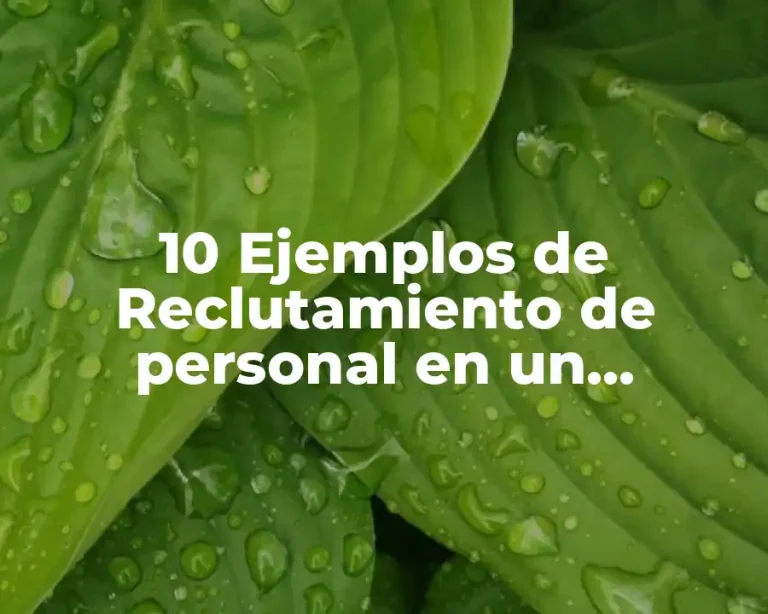 10 Ejemplos de Reclutamiento de personal en un restaurante