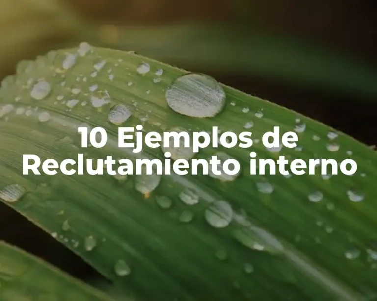 10 Ejemplos de Reclutamiento interno