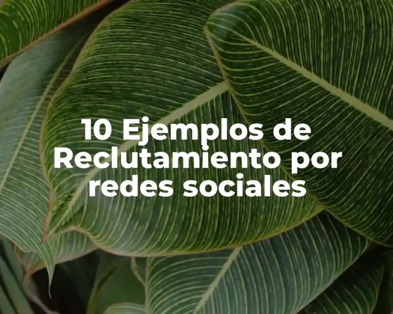 10 Ejemplos de Reclutamiento por redes sociales