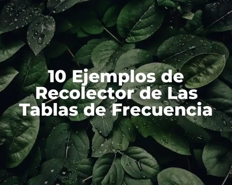 10 Ejemplos de Recolector de Las Tablas de Frecuencia