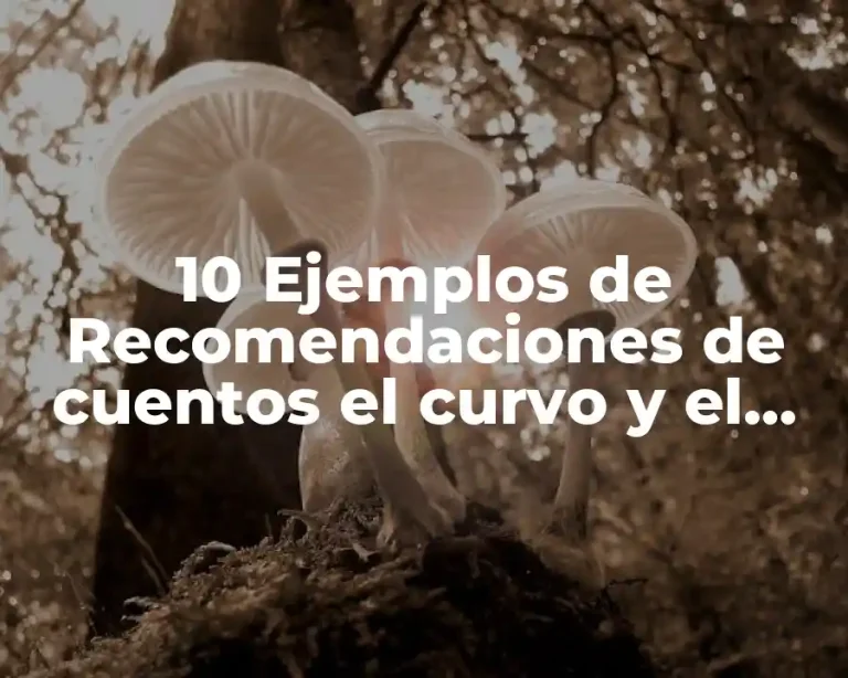 10 Ejemplos de Recomendaciones de cuentos el curvo y el zorro