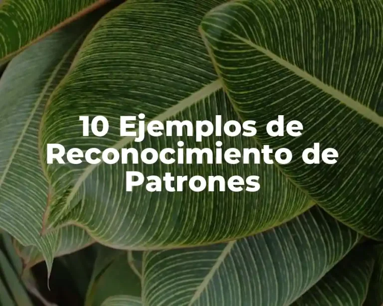 10 Ejemplos de Reconocimiento de Patrones