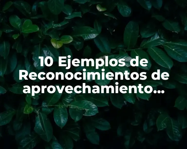 10 Ejemplos de Reconocimientos de aprovechamiento escolar