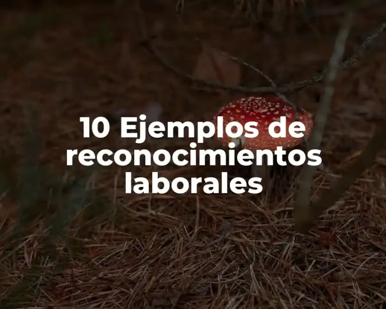 10 Ejemplos de reconocimientos laborales