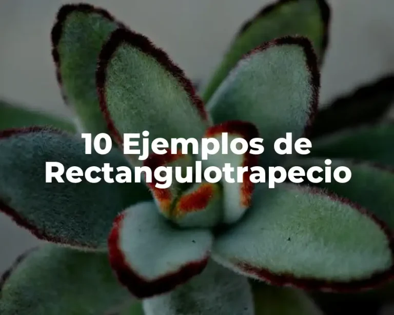 10 Ejemplos de Rectangulotrapecio