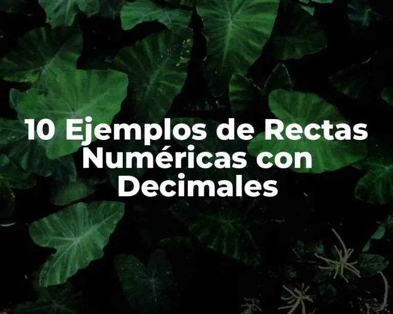 10 Ejemplos de Rectas Numéricas con Decimales