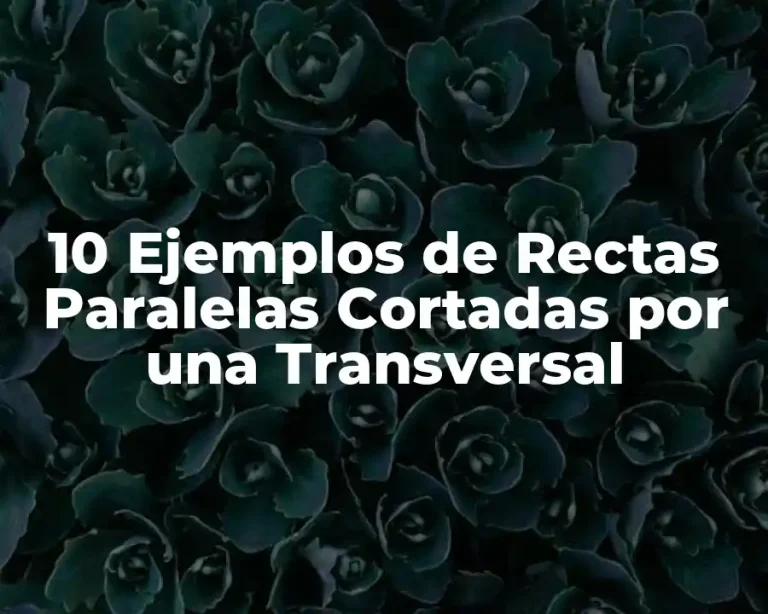 10 Ejemplos de Rectas Paralelas Cortadas por una Transversal