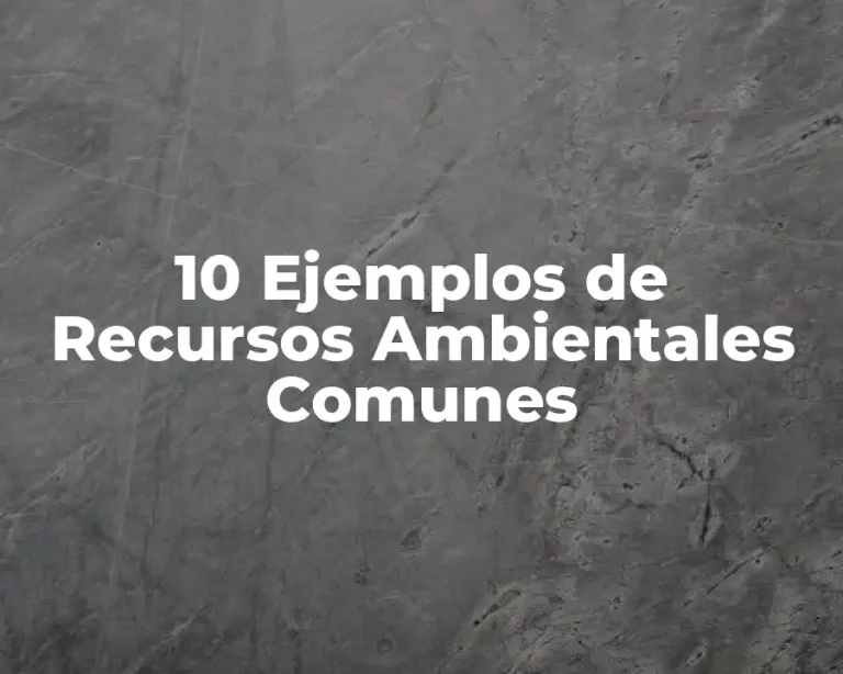 10 Ejemplos de Recursos Ambientales Comunes