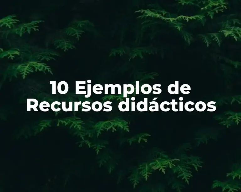 10 Ejemplos de Recursos didácticos