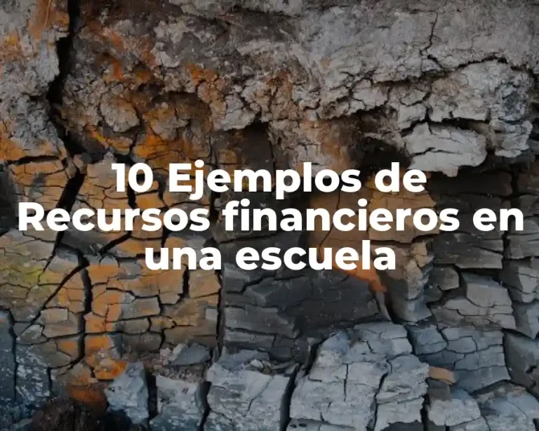 10 Ejemplos de Recursos financieros en una escuela