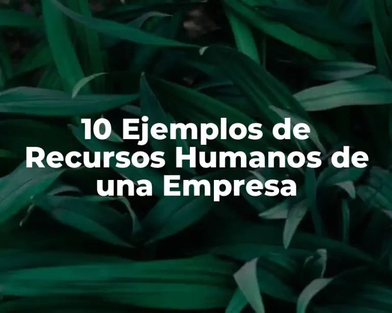 10 Ejemplos de Recursos Humanos de una Empresa