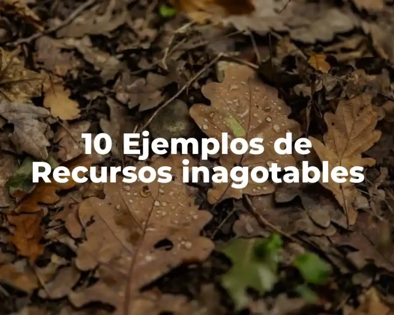 10 Ejemplos de Recursos inagotables