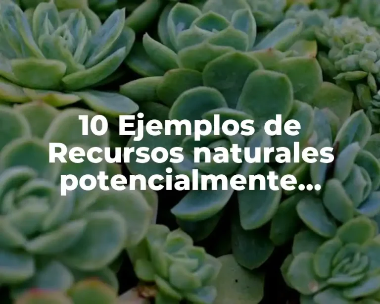 10 Ejemplos de Recursos naturales potencialmente renovables