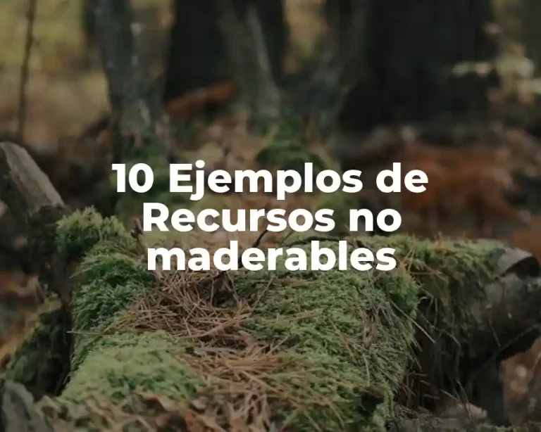 10 Ejemplos de Recursos no maderables