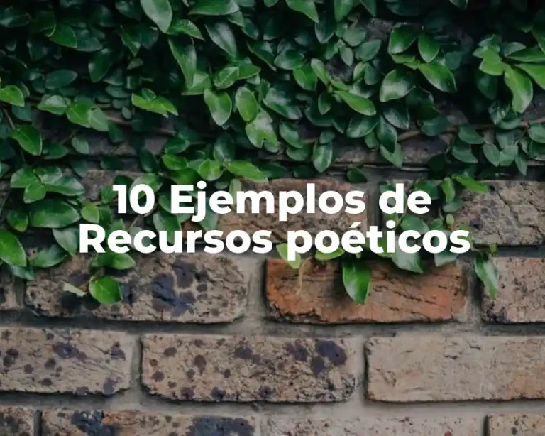 10 Ejemplos de Recursos poéticos