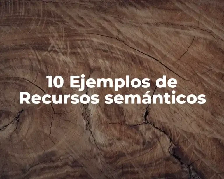 10 Ejemplos de Recursos semánticos