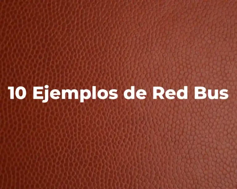 10 Ejemplos de Red Bus
